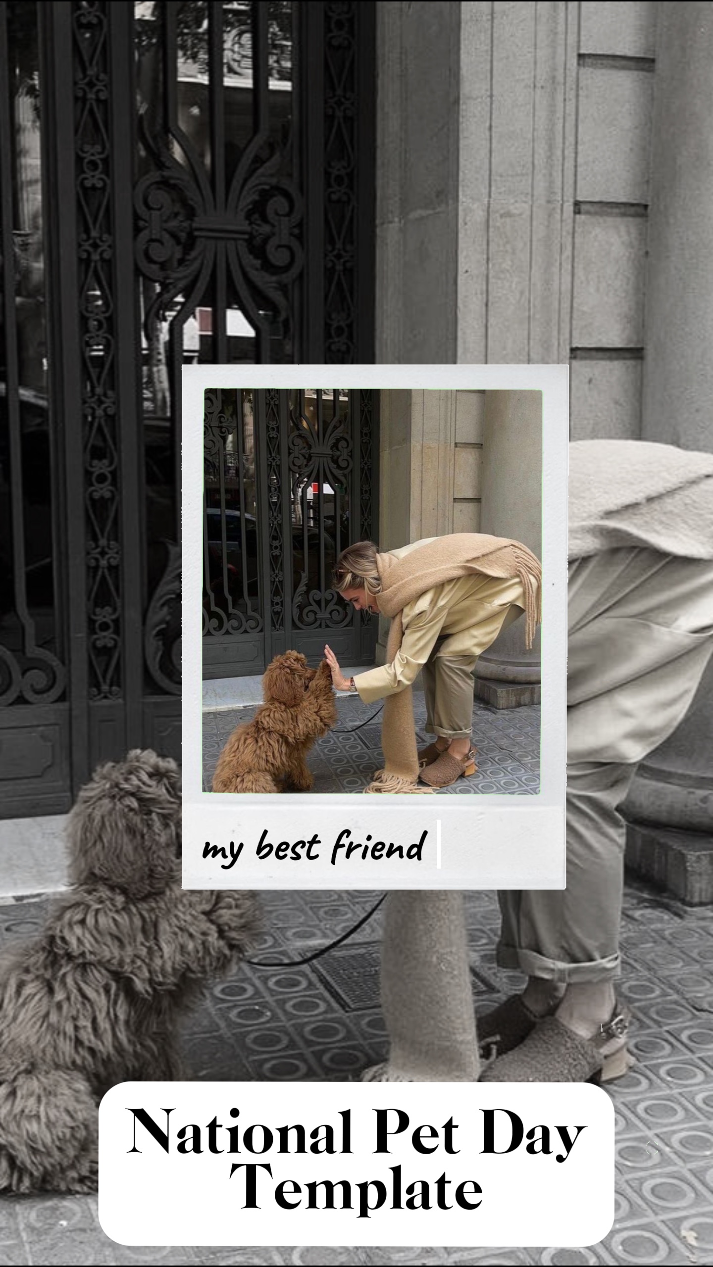 My best friend