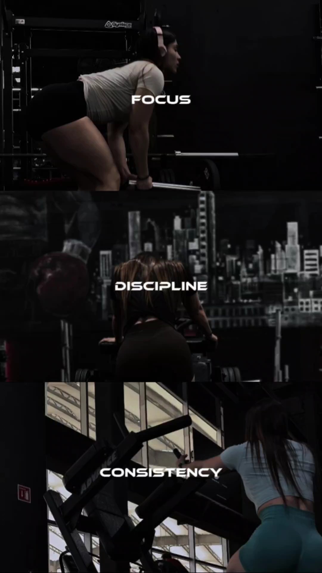 focus discipline