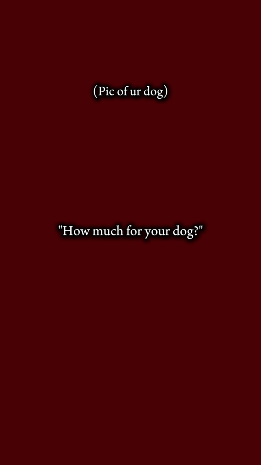Perro