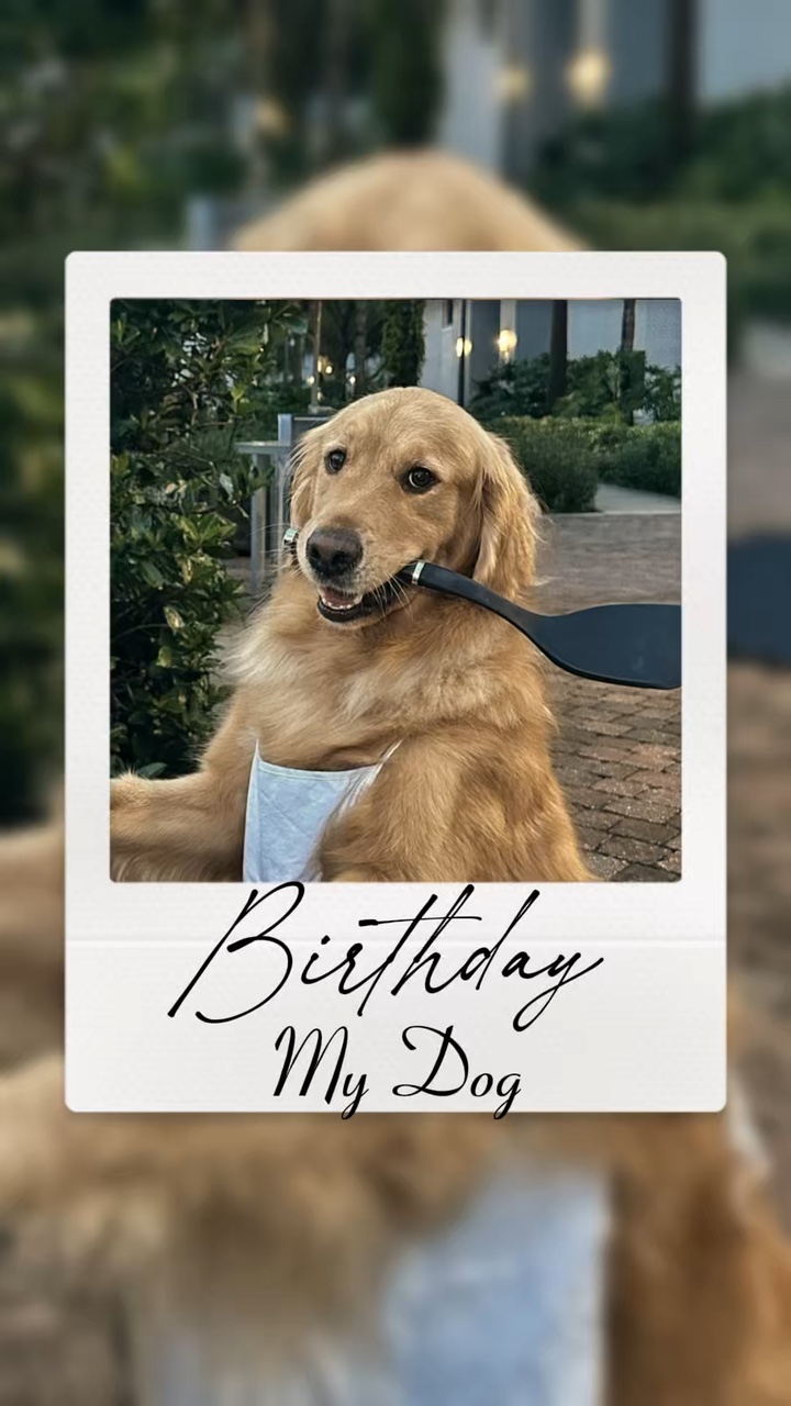 doğum günü köpeğim 