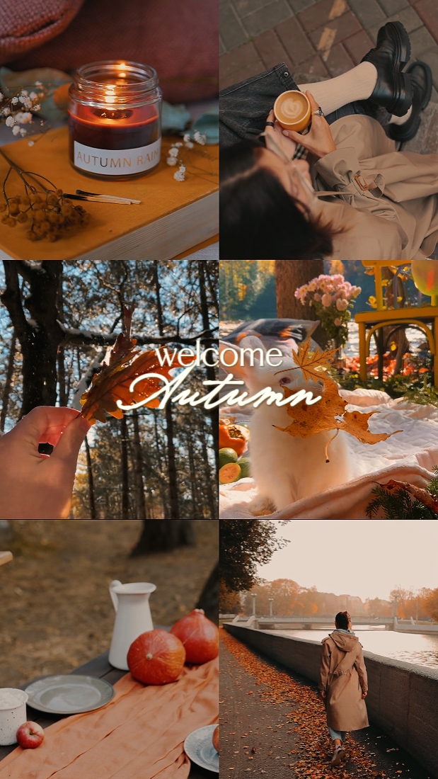Bienvenido otoño 