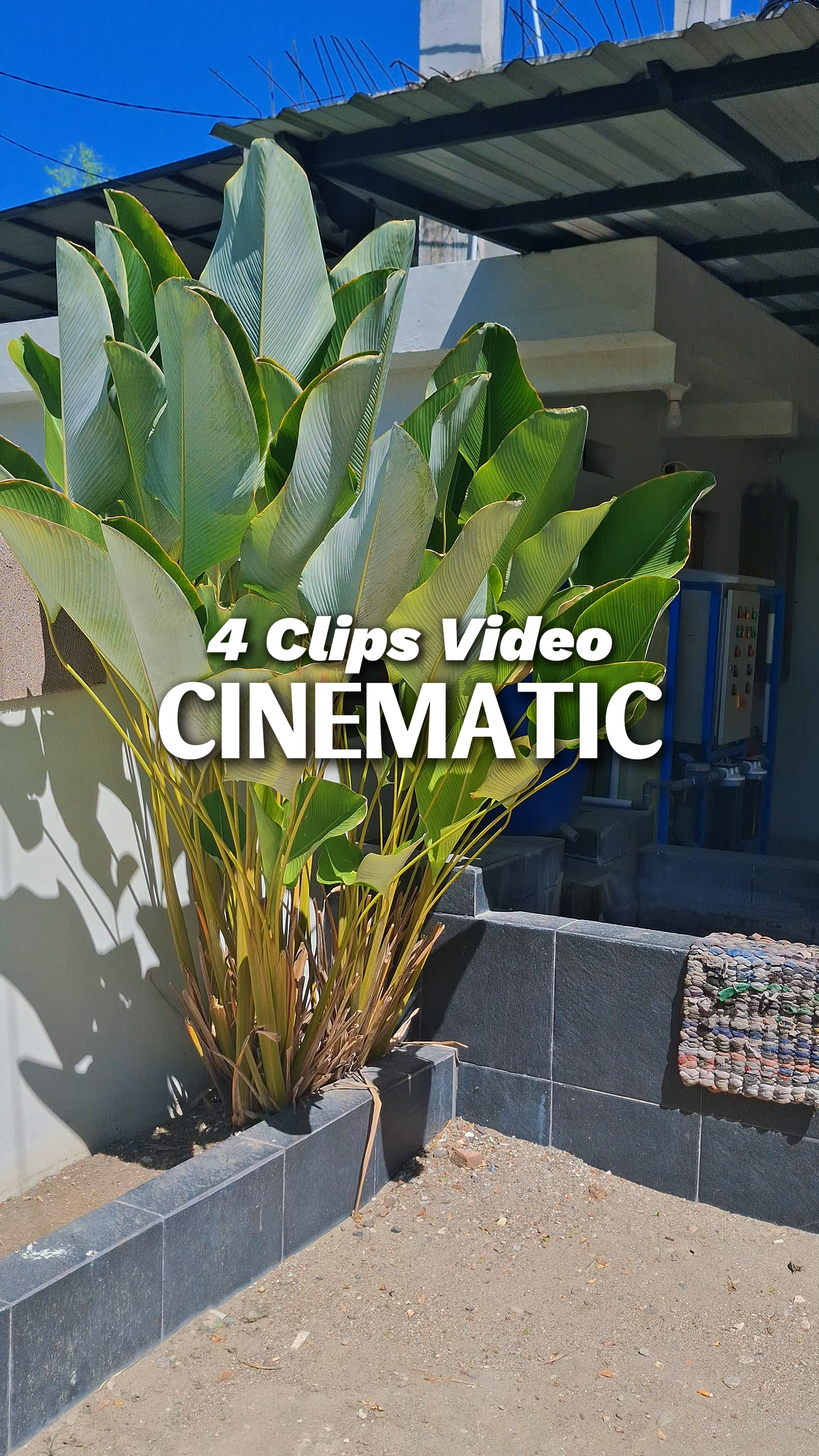 4 clipes de vídeo