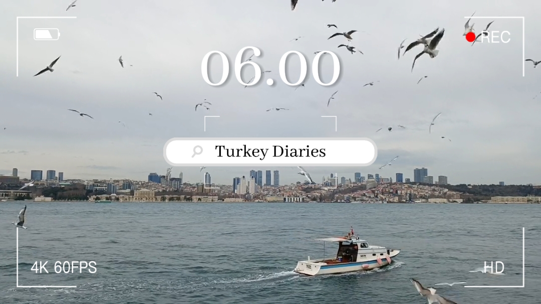 Travel Intro