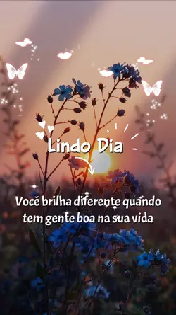 lindo dia 