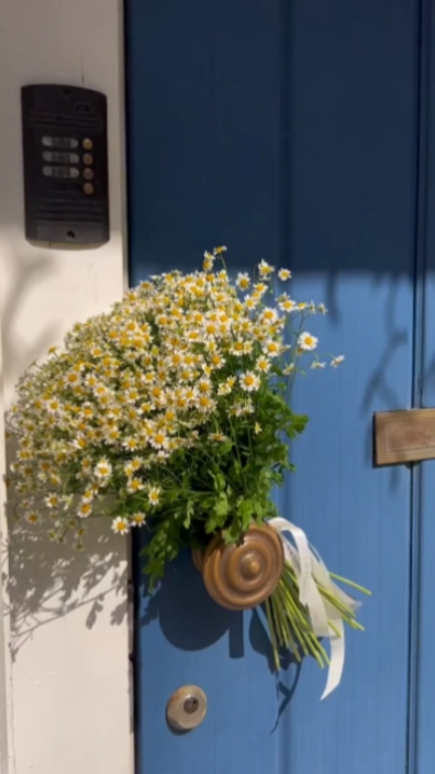 beautiful flower 