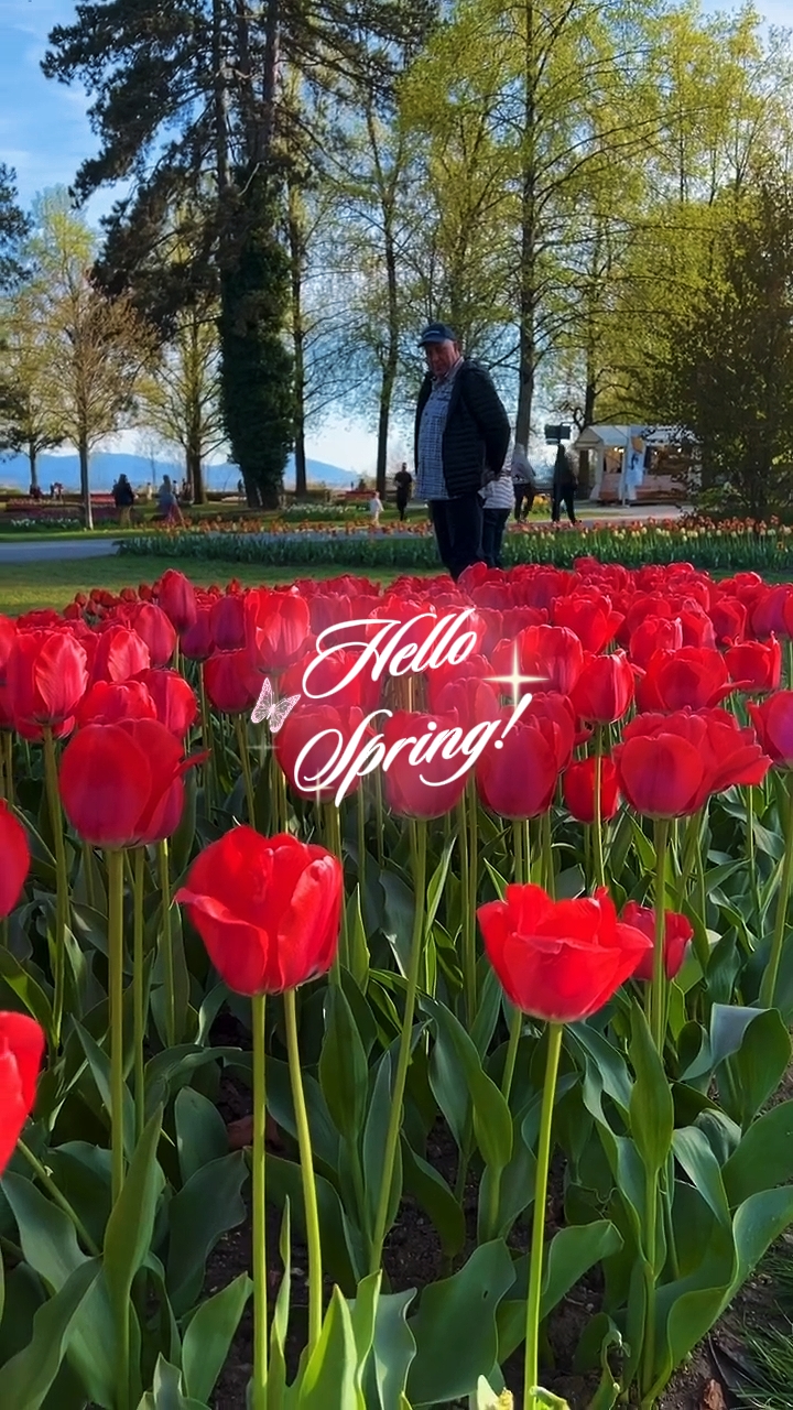Hallo Frühling 