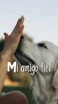 Mi perrito