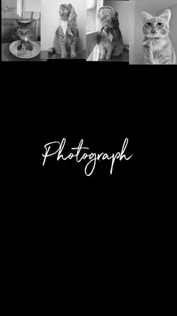 Photograph