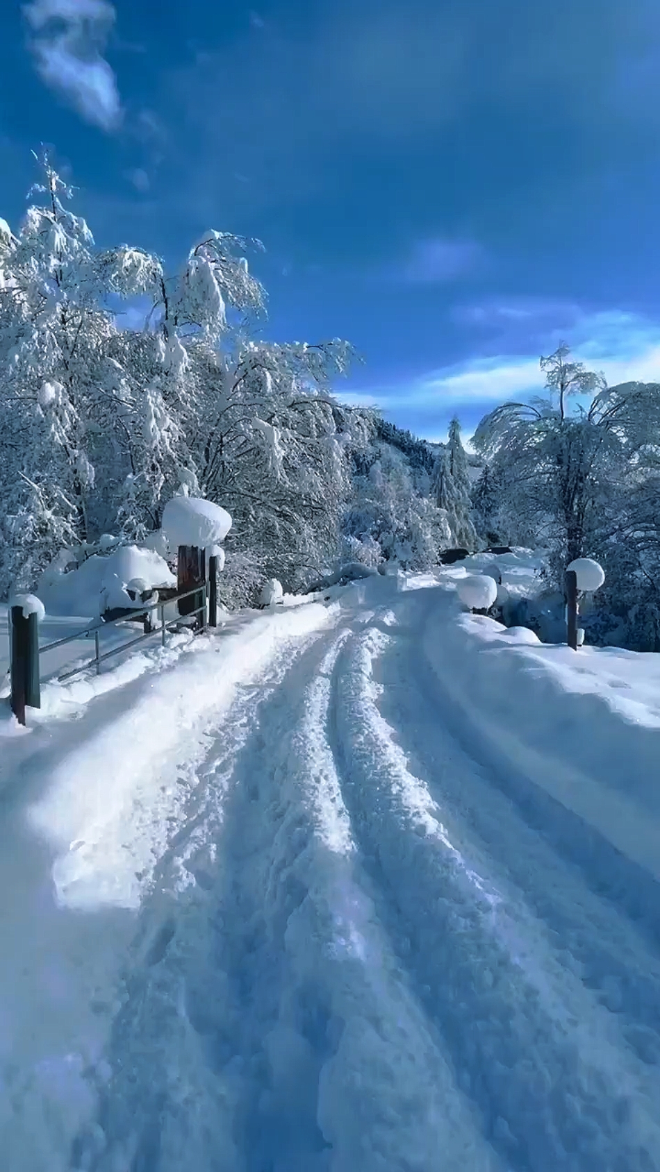 Neve de inverno