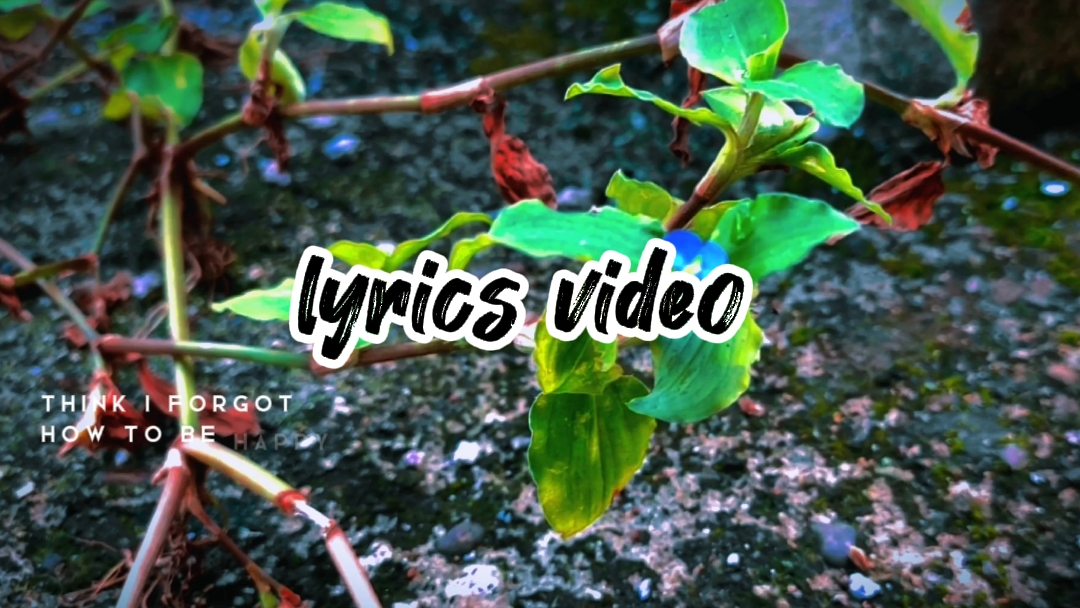 Plantilla de letras | cine
