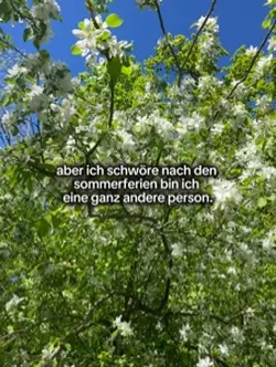 nach sommerferien