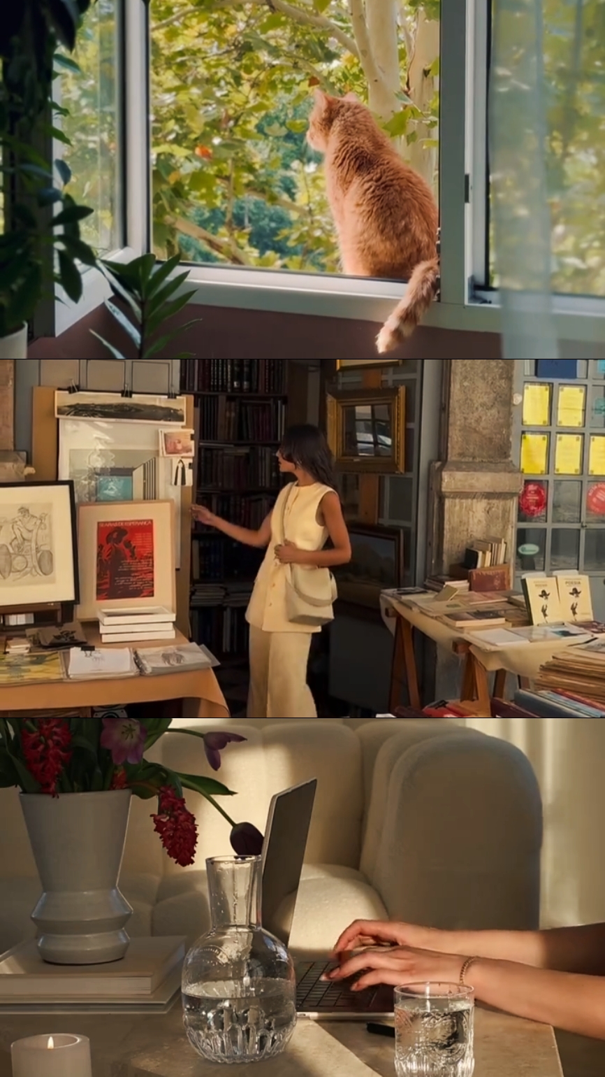 3 vidéo 1 image