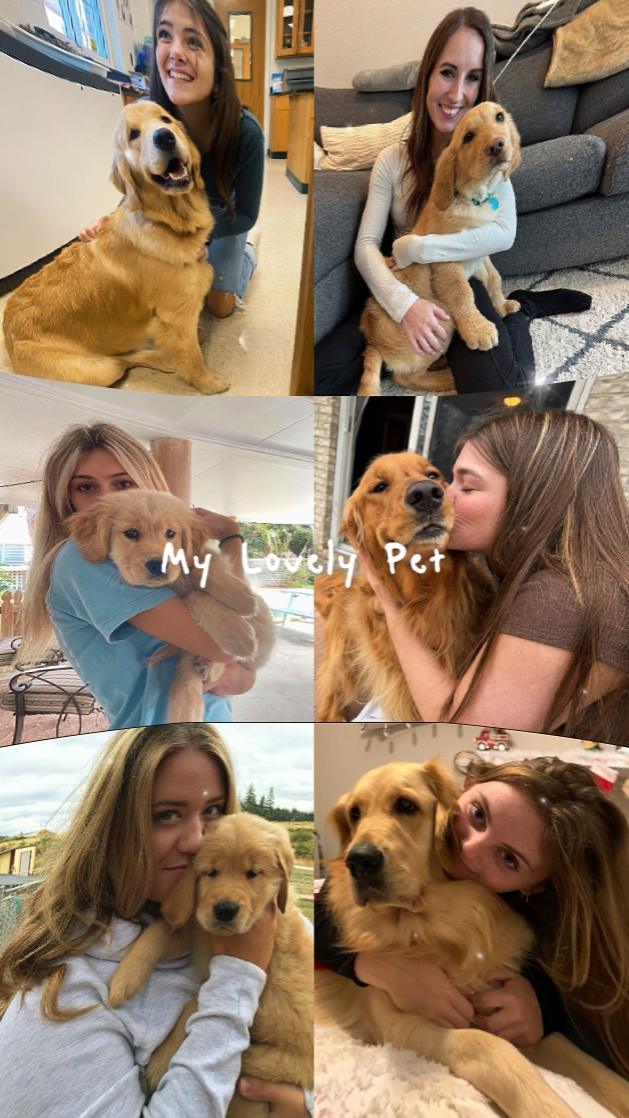 Mi adorable mascota