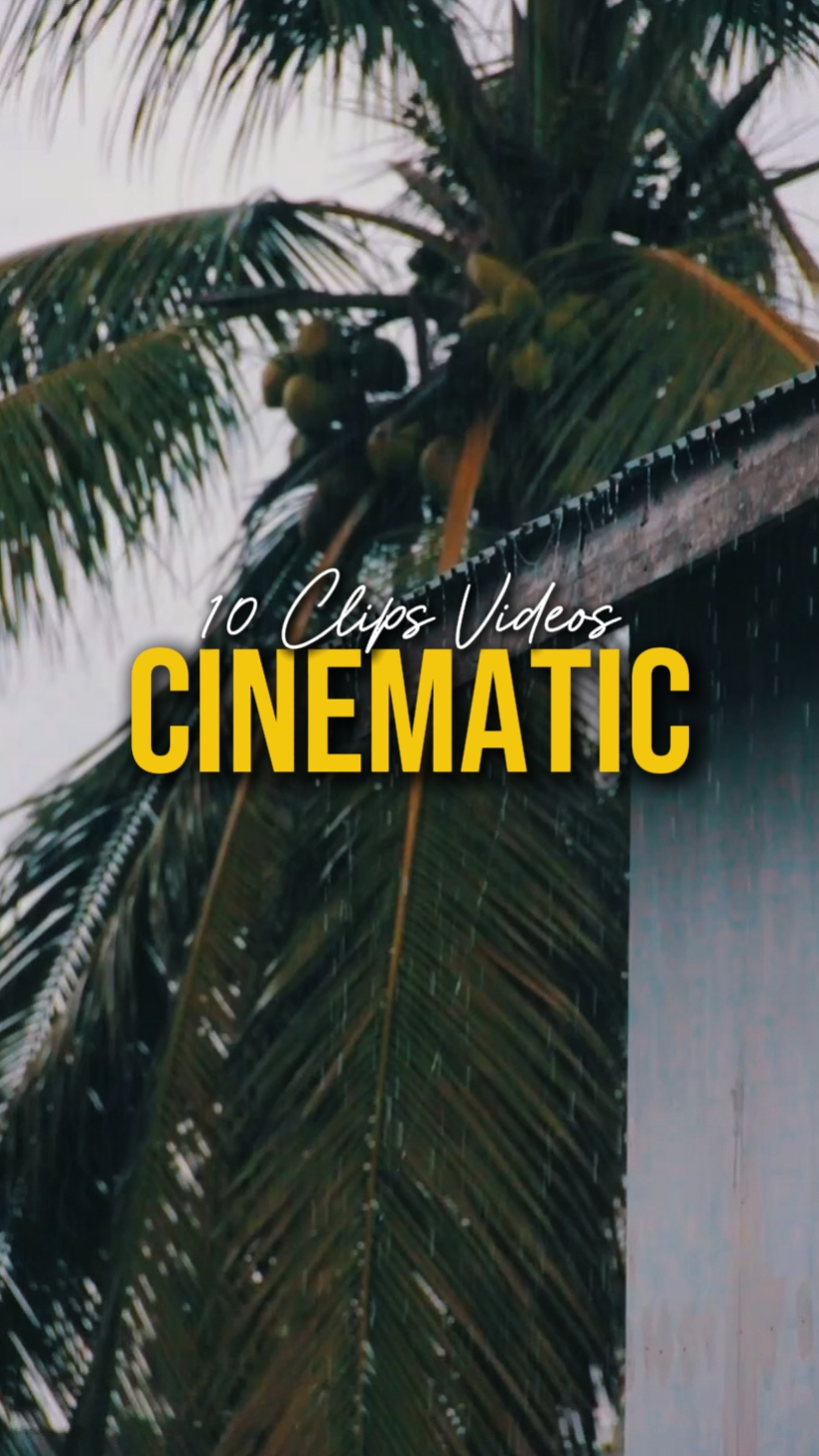 CINÉMATIQUE 10 VIDÉOS