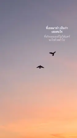 ย้ายเนื้อได้💛