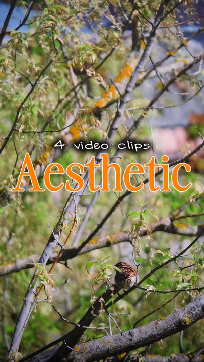 7 video cinematic