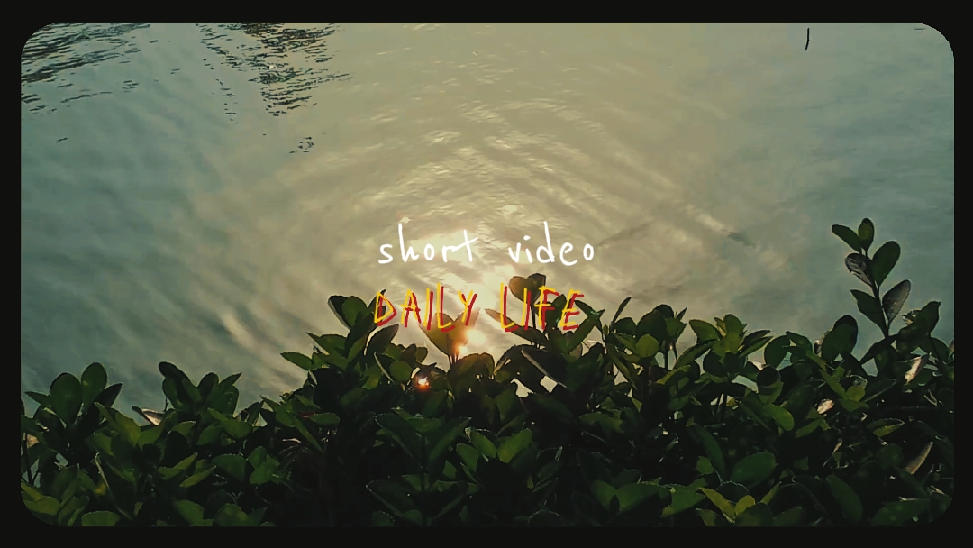 daily life 