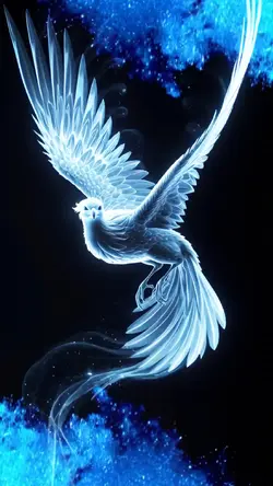 Phoenix overlay 65