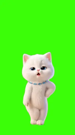 Cat/Gato