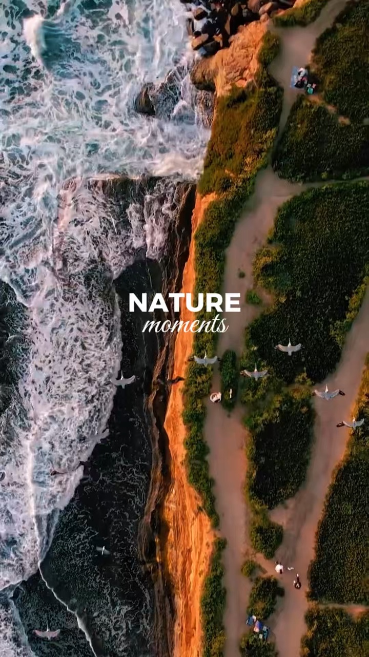 Nature Moments 