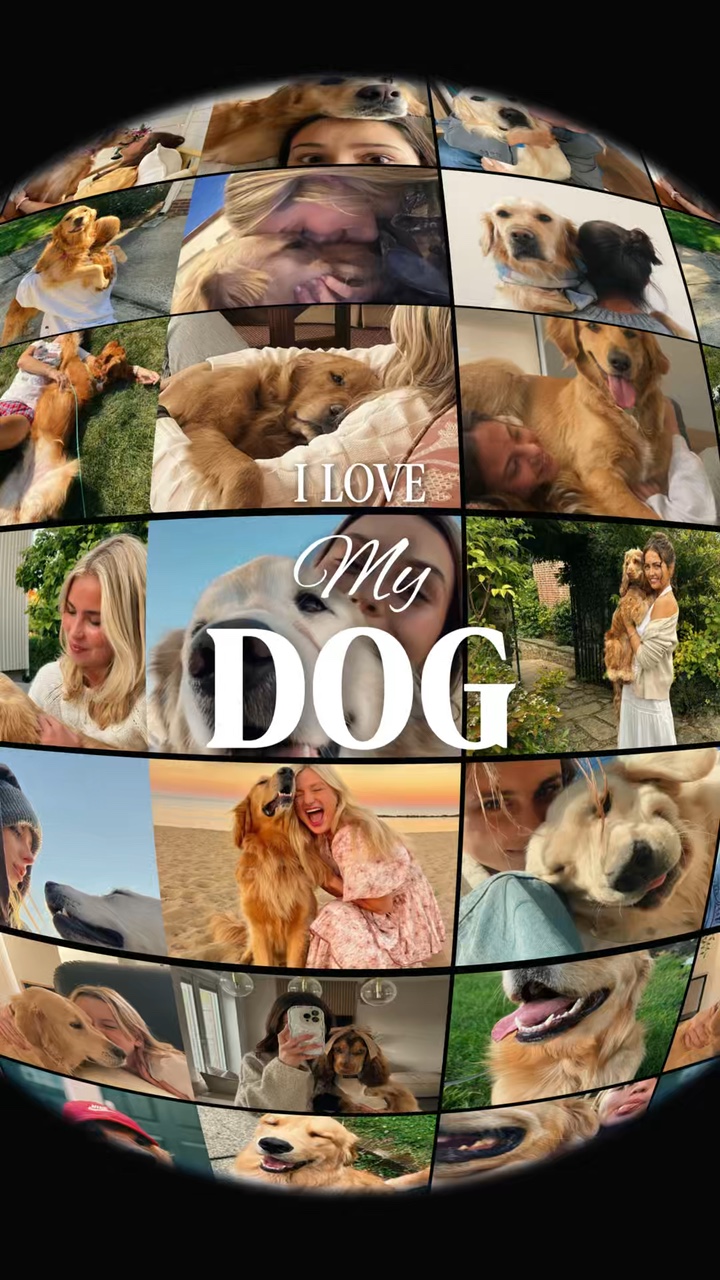 Dog dump photo