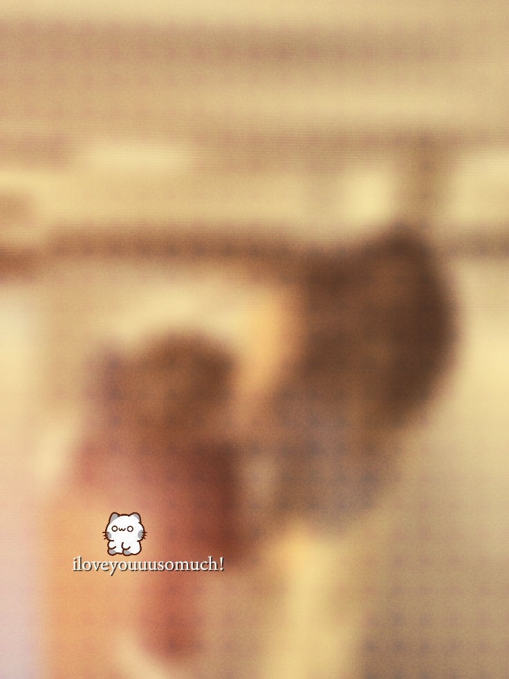 1pic bulanık fotoğraf 