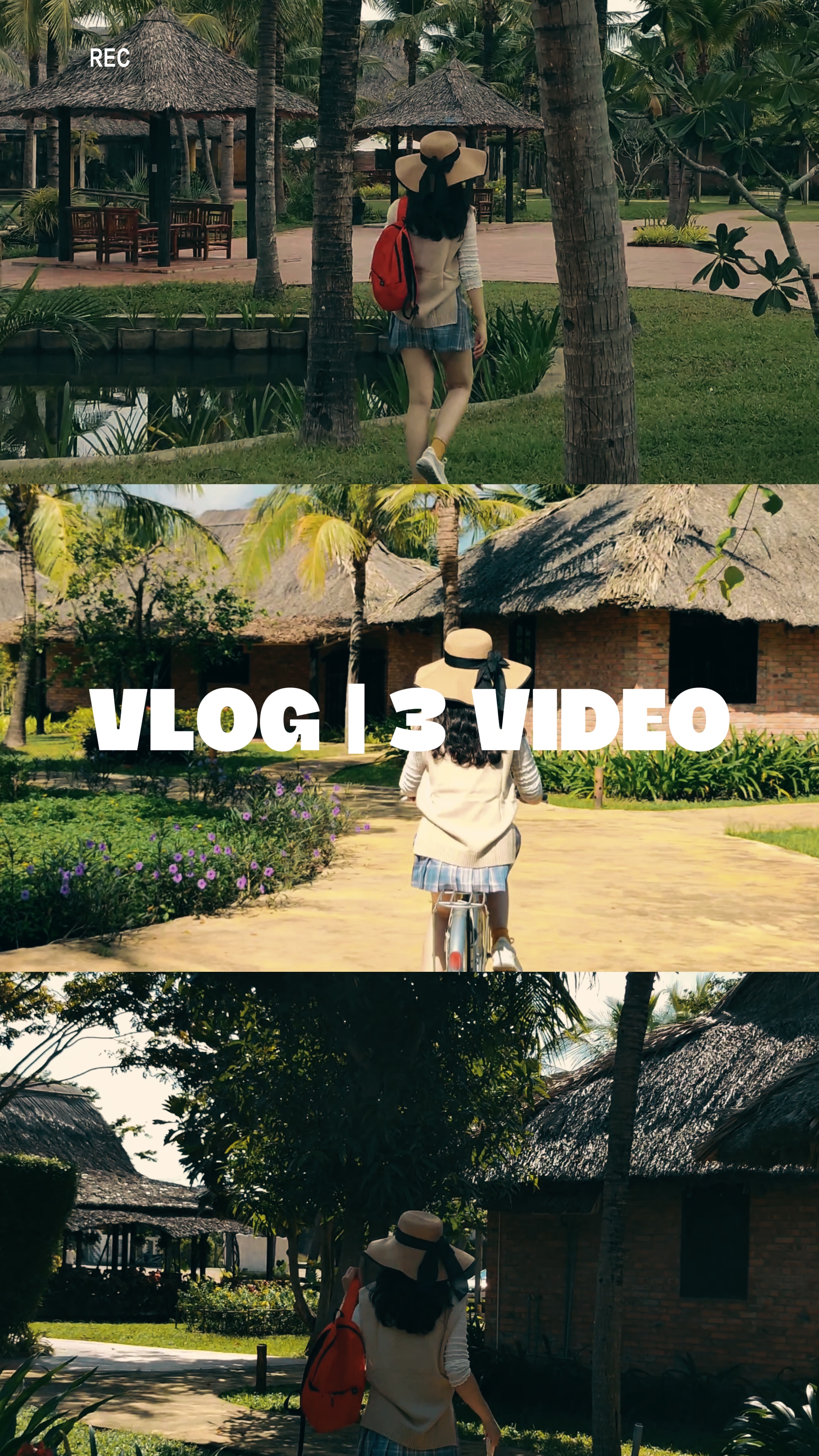 VLOG | 3 VIDÉO