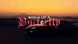 FIGHTERS CAR EDIT