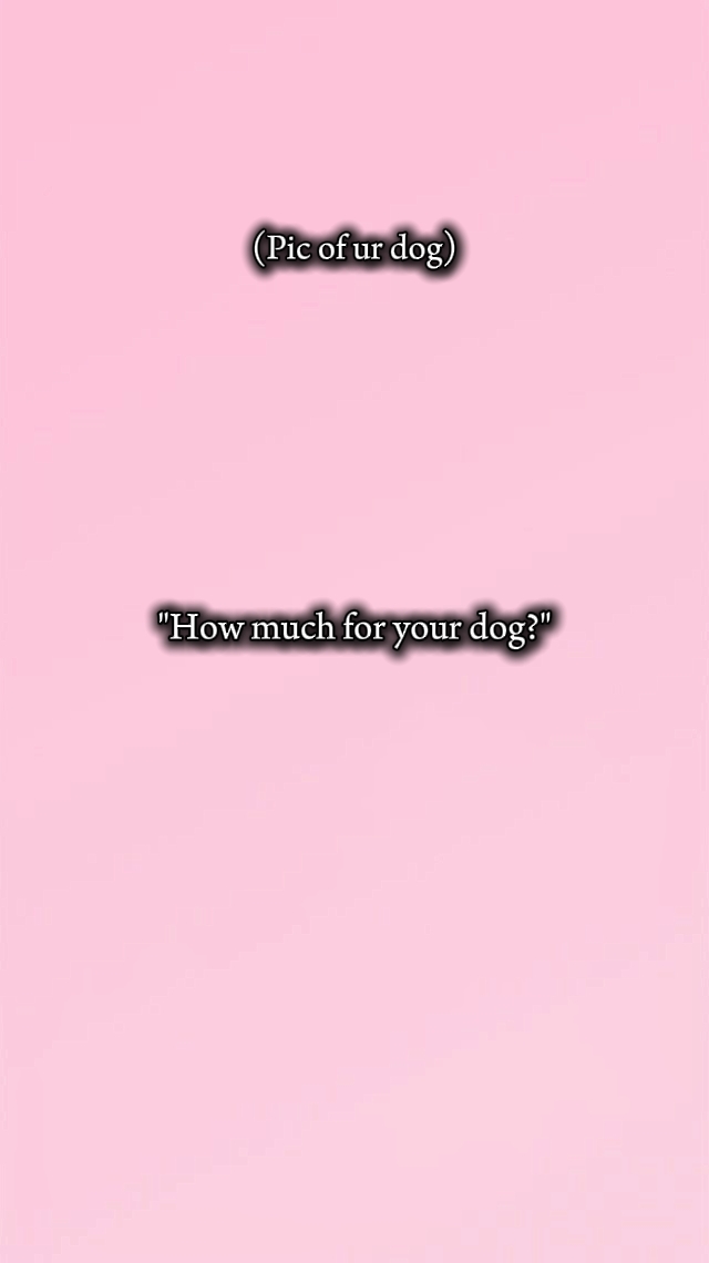 dog