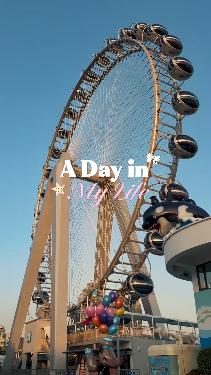 A DAY IN MY LIFE