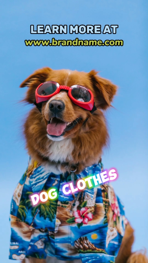 Tampilan Pakaian Anjing Gaya Tik Tok