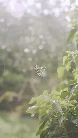 Rainy | 1 ⏧ā¸ĩā¸ā¸ĩāšā¸