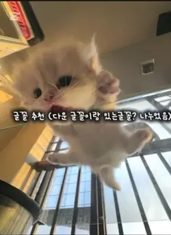 글꼴 추천!