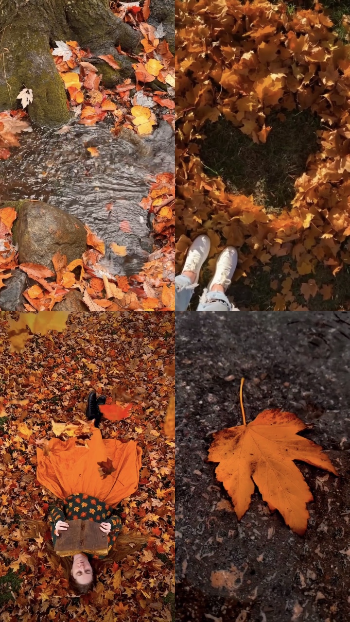 Autumnvibes