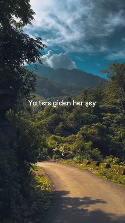 Ters giden şeyler