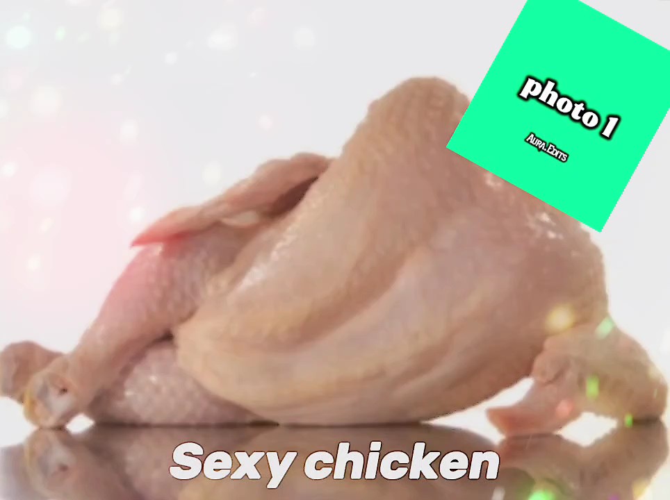 NEW TREND TEMPLATES