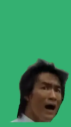 bruce lee