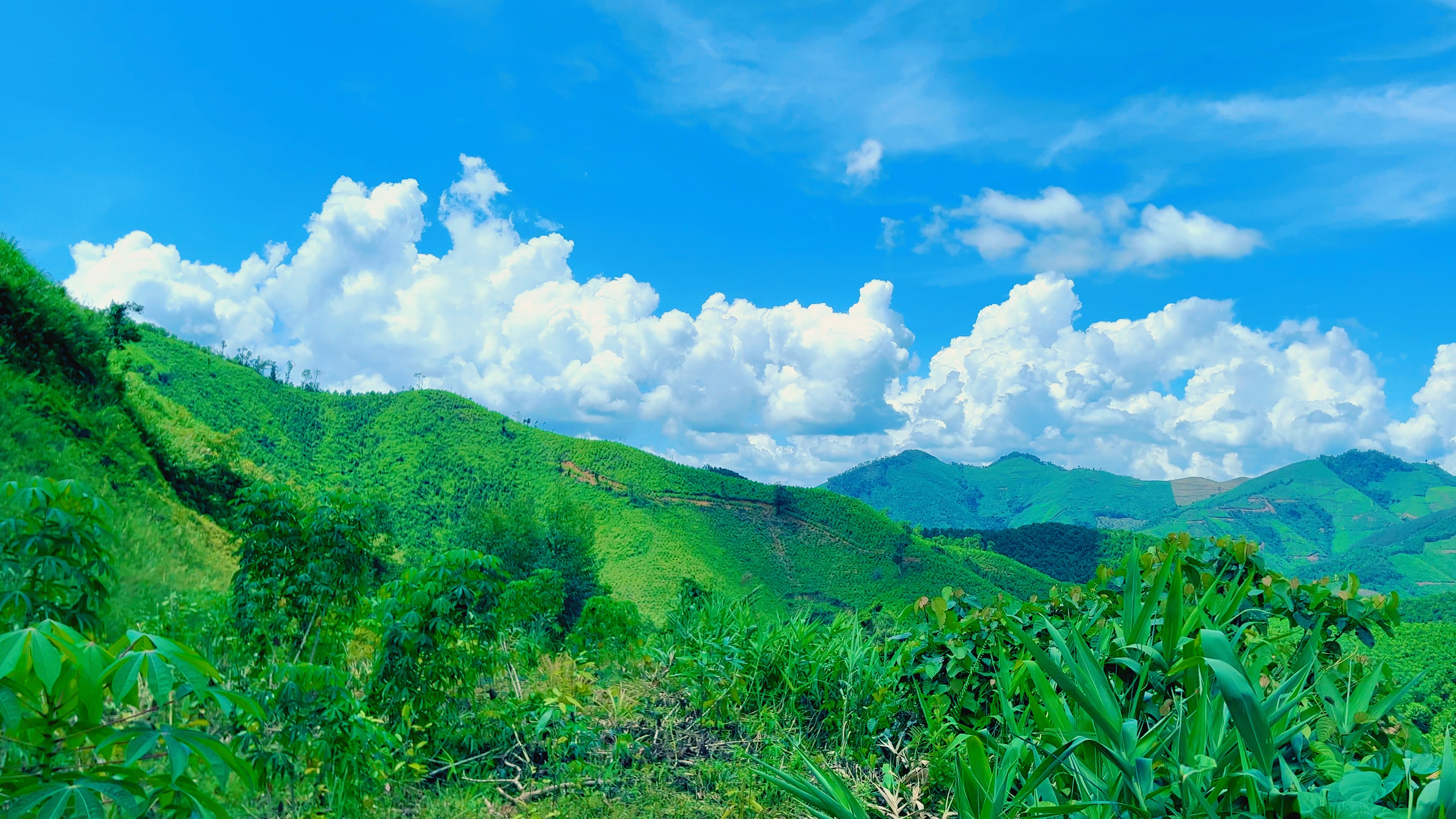Ngày Nạng Đp