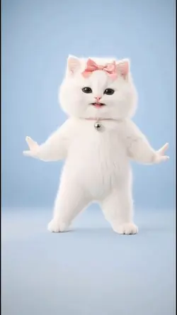 Cat Dance