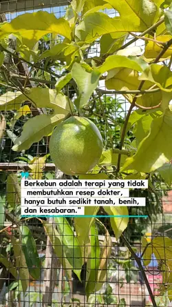 Berkebun itu Therapy