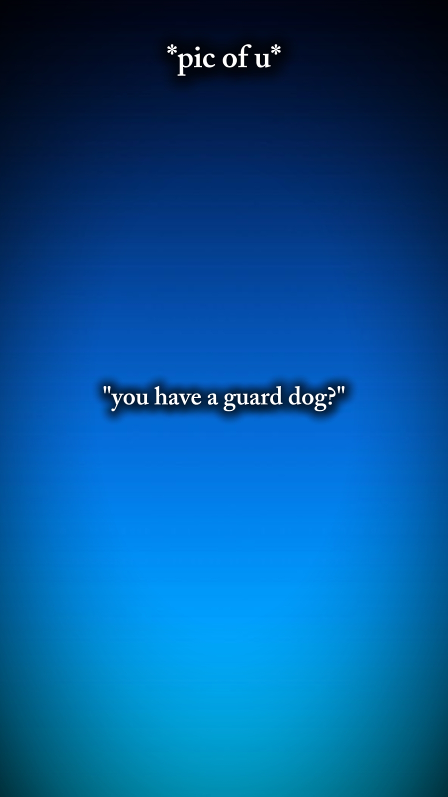 dog