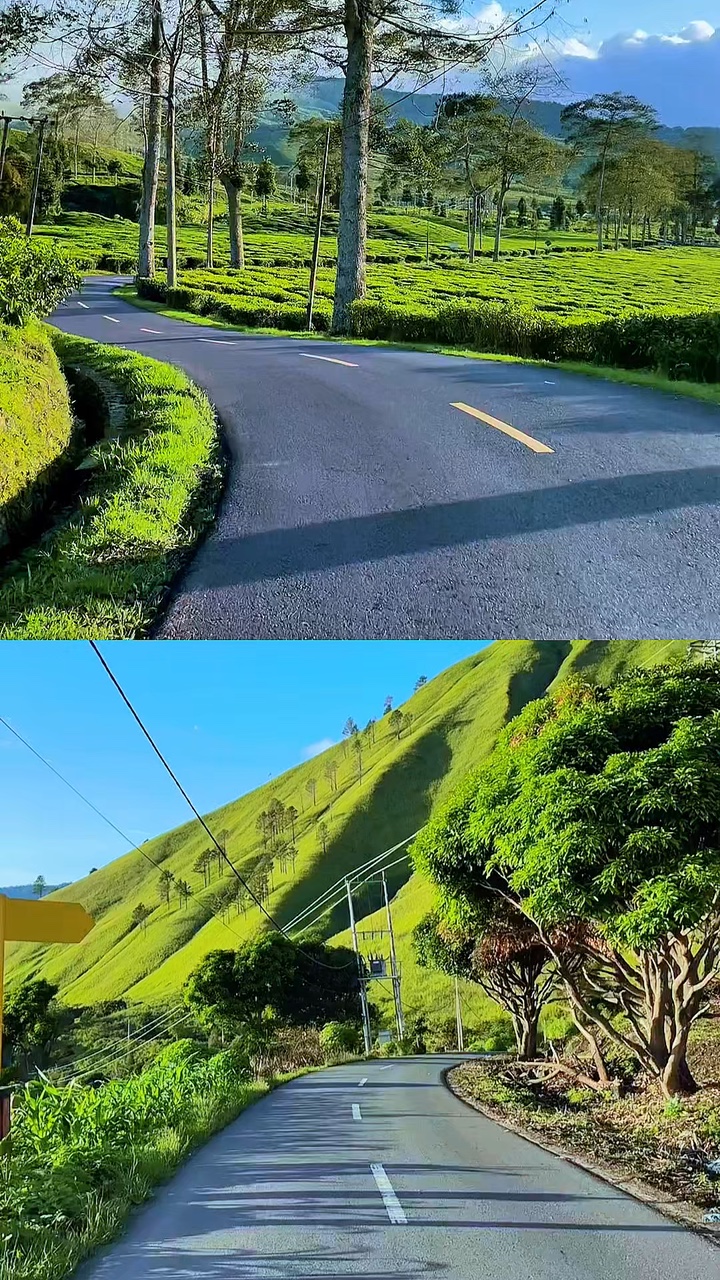 2 비디오 kolase