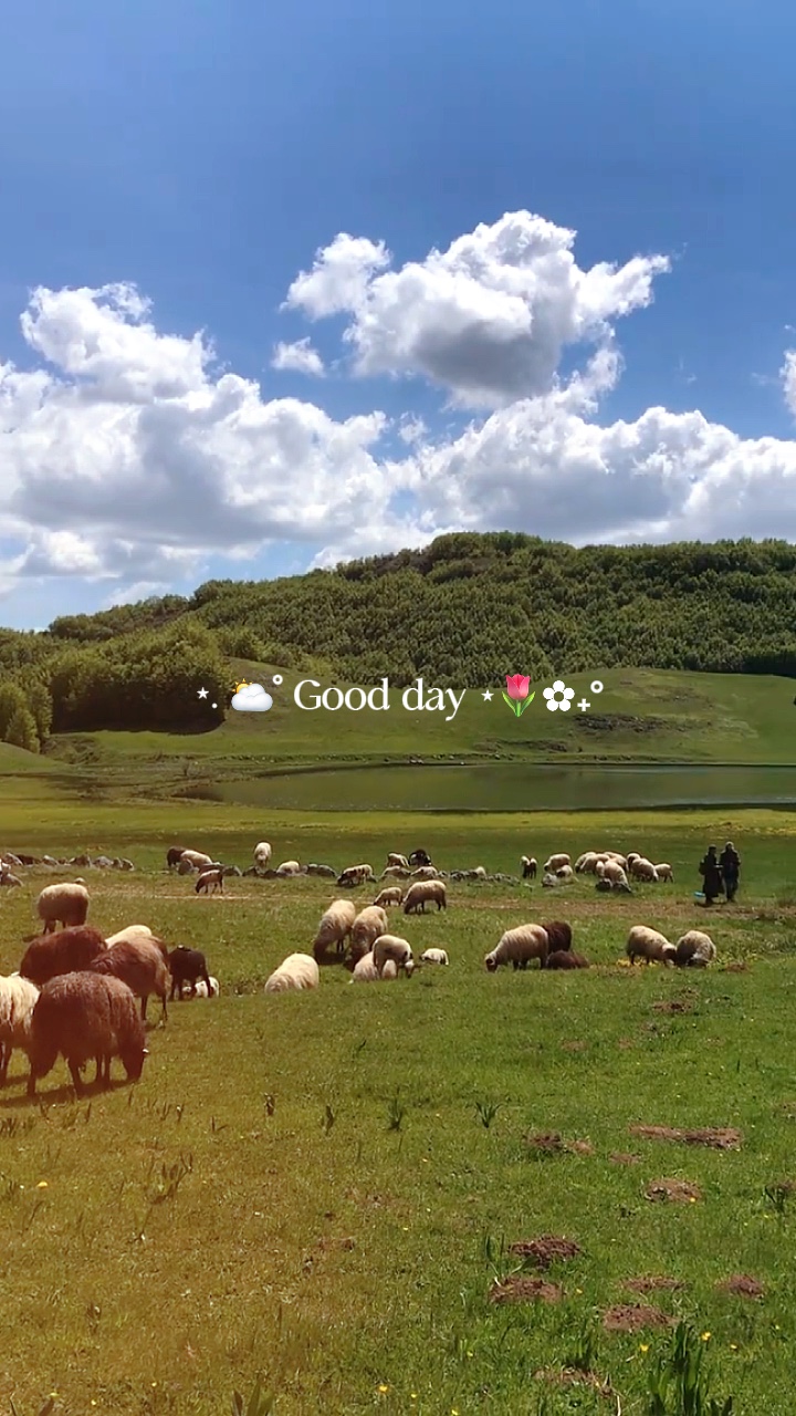 Bonne journée 5 vidéos 🌷✨