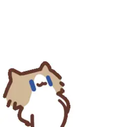 Monthly salary cat