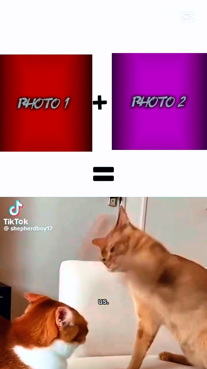 coba template ini 
