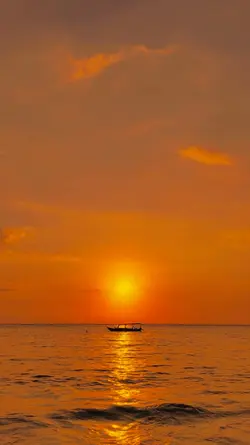 Filter senja