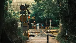 雨のひととき (^•^)