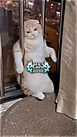 Jj terbaru 2026