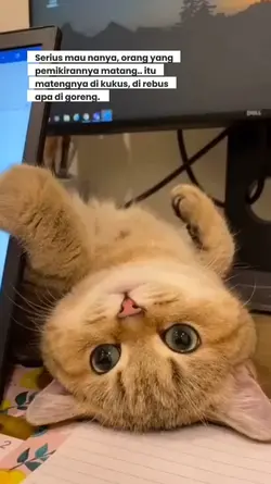 serius nanya?