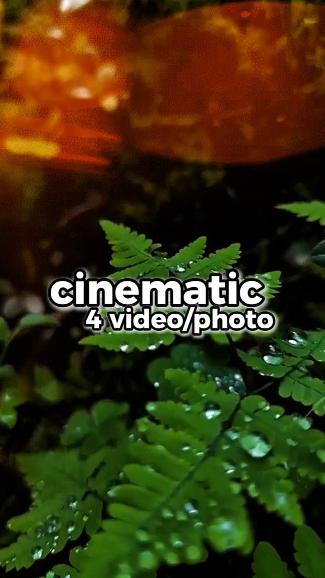 vidéo cinématique 4 
